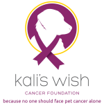 Kali's Wish Foundation
