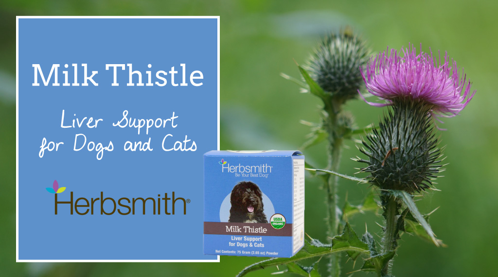 May-V&S-SPP_Herbsmith-MThistle